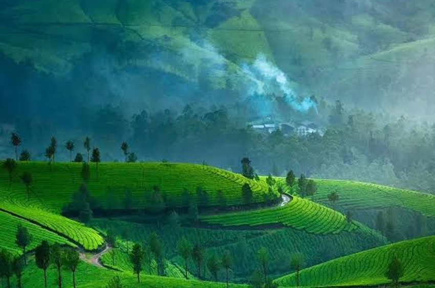 Munnar Package